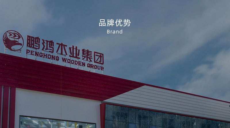 板材品牌、全屋定制品牌、生態(tài)板十大品牌